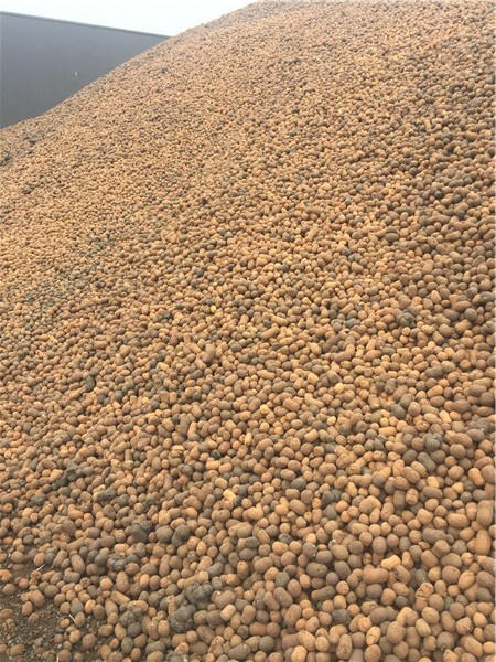 陜西黏土陶粒廠家 陜西黏土陶粒廠家